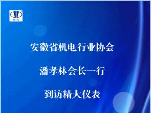 安徽省機(jī)電行業(yè)協(xié)會(huì)潘孝林會(huì)長(zhǎng)一行到訪精大儀表