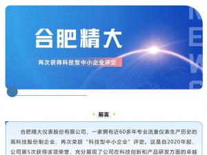 合肥精大儀表股份有限公司再次獲得科技型中小企業(yè)評(píng)