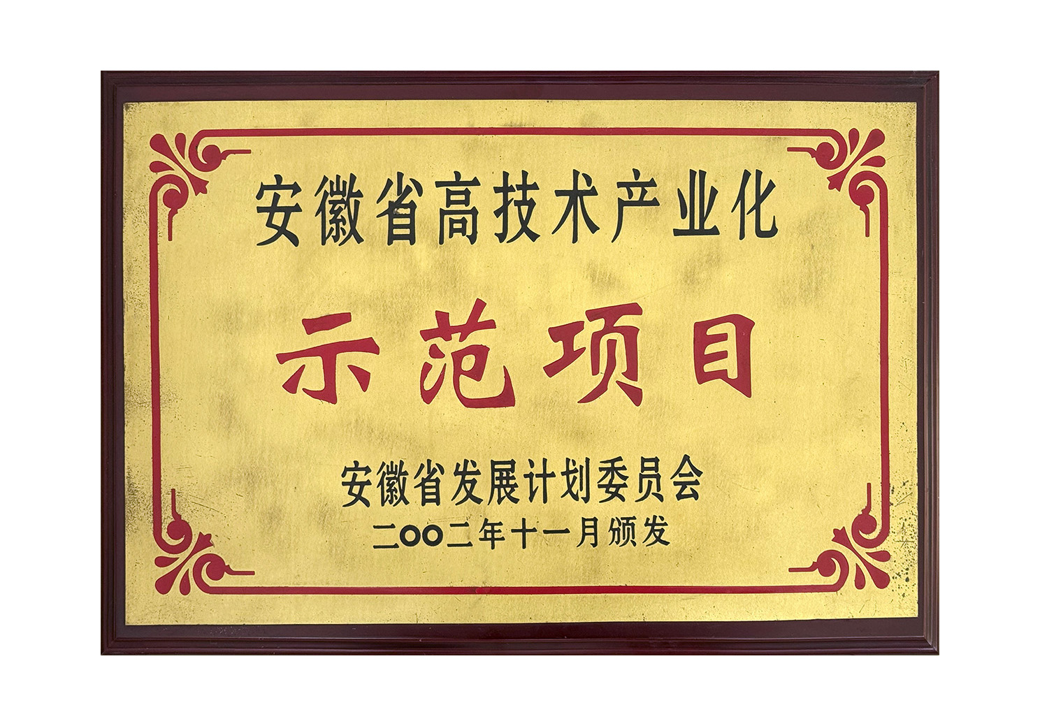 安徽省高技術(shù)產(chǎn)業(yè)化示范項(xiàng)目